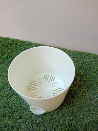 Image of Maxx Plast 5 Inch Self Watering Pots | Set of 5 Decorative Plastic Planters for Indoor & Outdoor Plants | Durable, Lightweight & Colorful Flower Pots - Just ₹299 (Ivory)