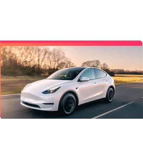 Tapis de coffre Tesla Model Y étanche pour vos sorties outdoor et transport de chien