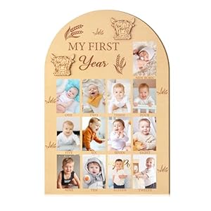R HORSE My First Year Photo Frame Board – Baby Photo Display Wood Board My First Year Picture Frame 12 Months Milestone Board Highland Cow 1st Birthday Nursery Decor Baby Keepsake Gifts for Boy Girl