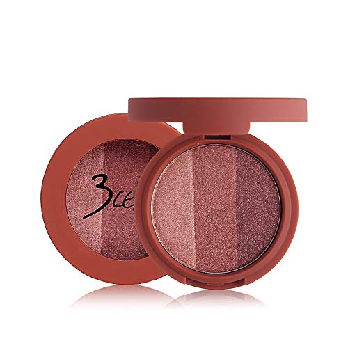 Wysgvazgv 3 Colors Matte Eye Shadows, Eye Shadow Palette Make up Cosmetic Palette Professional Highly Pigmented Waterproof Flawless Long Lasting