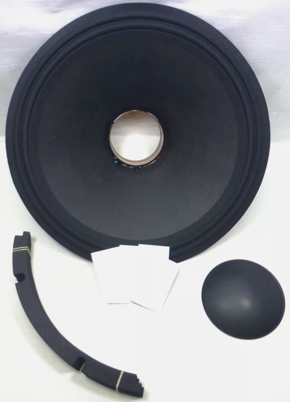 Amazon.com: LASE Replacement RCF L18P300, EAW LC1815 Re-Cone Kit