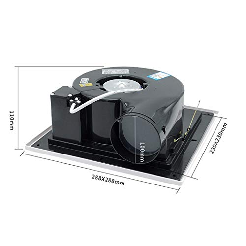 QIQIDEDIAN Aspiratore da 10 Pollici soffitto a