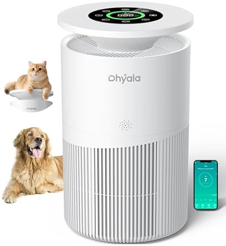 Smart Air Purifier Versus a Simple Dial Model