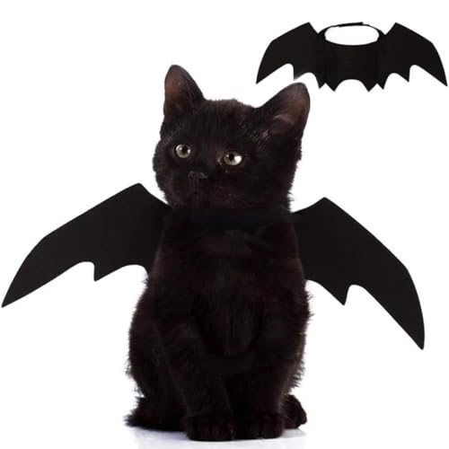 LQIOACU 1 peça disfarce de Halloween para animal cão gato, roupa de gato, asas de morcego disfarce de morcego, cosplay de gato