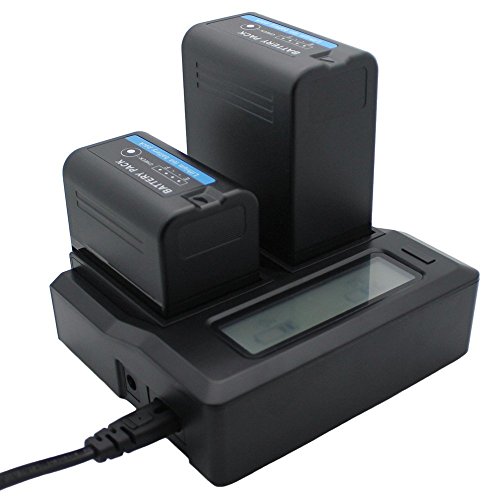 Ficha técnica Digital Nc Baterías Inteligentes de Alta Capacidad 2 Unidades Compatibles con Sony PXW-X160 Cargador Doble AC/DC - Fernando Cortés