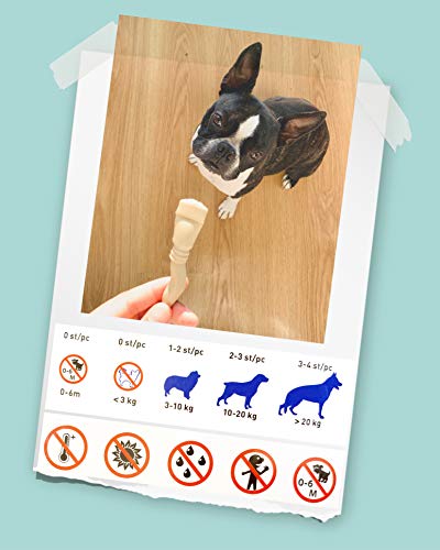 Vegetarische Hundesnacks. Zahnpflege Kauartikel für Kleine Mittlere und Große Hunde. Glutenfrei Fettarm. 24 U.
