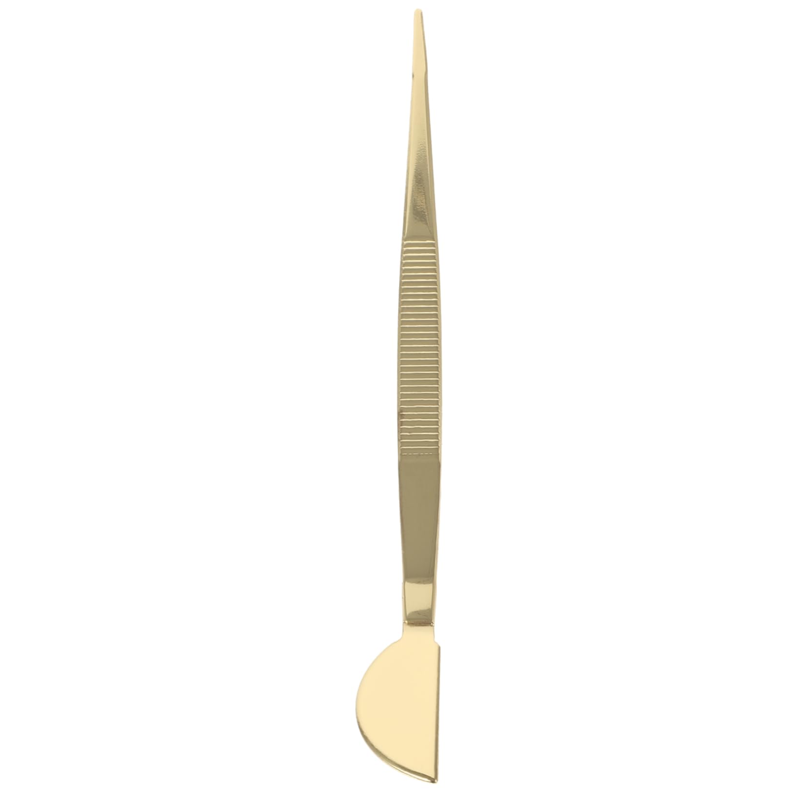 BESPORTBLE 5pezzi Pinzette in Acciaio Inossidabile Per Bonsai Con Raschietto Strumento Per Giardinaggio Rimozione Foglie Secche e Applicazione Muschio Design Ergonomico e Antiscivolo