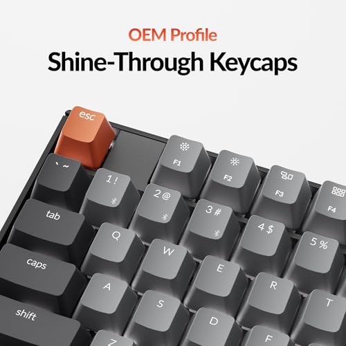 Image of Keychron K10 Full Size 104 Keys Bluetooth Wireless Mechanical Gaming Keyboard for Mac Windows with Keychron Silent K Pro Red Switch, Multitasking /White LED Backlight /USB C Wired Computer Keyboard