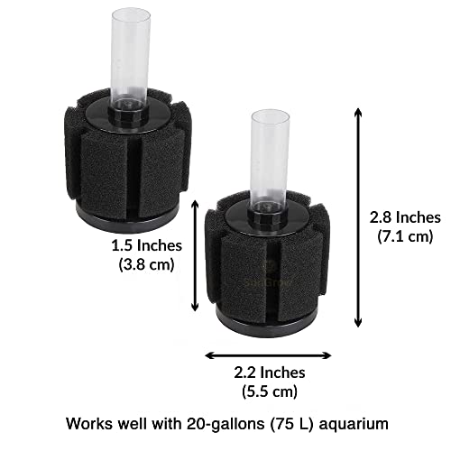 Image of SunGrow 10-Gallon Betta Sponge Filter, Underwater Center Aquarium Filter, Attach it to Air Pump (Not Included) to Run, Works for Tropical Fish & Breeder Aquarium, Perfect for Fry & Small Fish, 2 Pcs