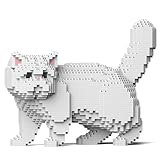 JEKCA Chat Exotic Shorthair Blanc