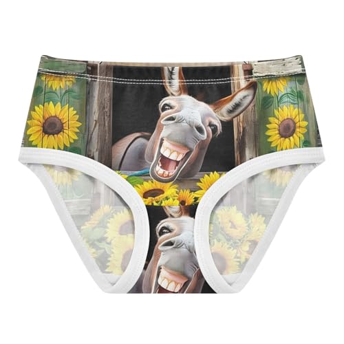 Humorous Donkey Rustic Wooden Little Girl Panties Toddler Underwear Custom Cotton Fun Briefs Undies Kids 2t