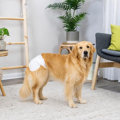 TRIXIE Hundewindeln für Hündinnen Gr. L, 12 St., 38–56 cm Taillenumfang
