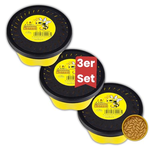 Lebende Bienenmaden 3er Set (ca. 120 STK) Premium Angelköder für Forellen & Saibling Frische aktive Ködermaden für Pose Grundblei & Sbirolino Lebendfutter