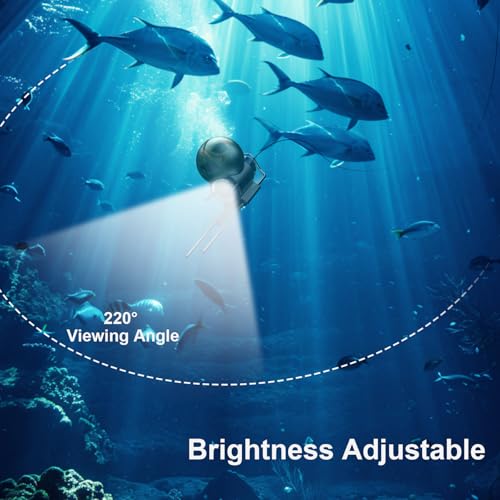 Image of Underwater Fishing Camera, Portable Video Cameras Fish Finder, 5 Inch HD LCD Monitor, 8pcs Infrared Lights Night Vision, Waterproof Fishing Camera for Ice Lake Boat Sea Kayak Fishing