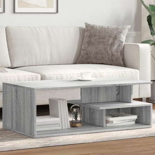 Table basse gris sonoma résolvant le manque de rangement du salon