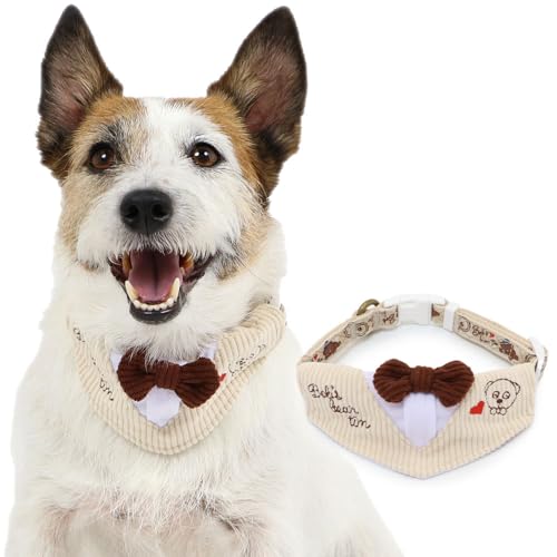 ペットパラダイス 犬 首輪 犬具 ティム アーガイル ミニオン 3S