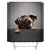 Fangkun Shower Curtain Art Bathroom Decor Animals Cute Pug Dog 3D Design - Waterproof, Soap, and Mildew Resistant - Machine Washable - Shower Hooks (YL050#, 72 x 72 inches)