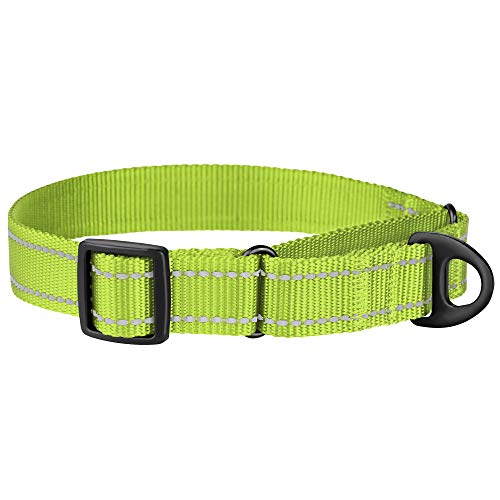 Collardirect Reflective Martingale Dog Collar Nylon Training Collars For Small Medium Large Dogs Puppy Pink Orange Green (S, Neck Size 11"-15", Lime Green) #TOP3