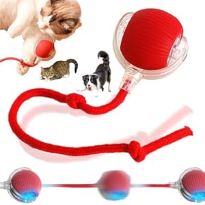 Pelota rodante interactiva para perro, pelota para perro con ruedas automáticas, juguetes interactivos para gatos, juguetes para perros y gatos, juguete inteligente de 360°, bolas eléctricas para