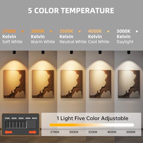 Image of LED Ceiling Spotlight Directional Lighting Indoor Spotlights(Black) | Zoomable15-60,5CCT /2700K-5000K,Dimmable,20W,For Living Room Gallery Art Lighting