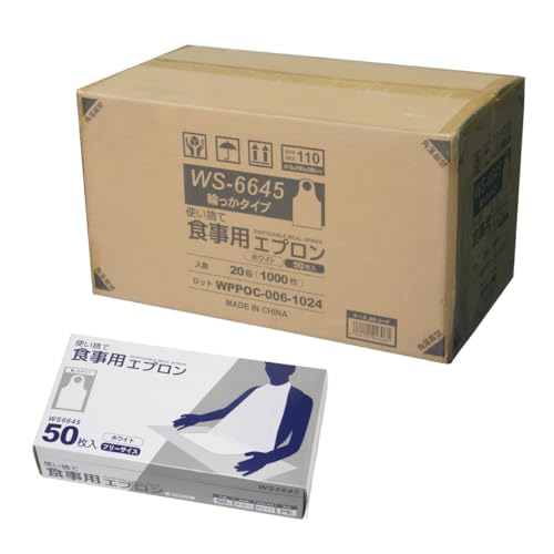 [ACE] HpGv ĝ ւ^Cv 20 1000 WS6645