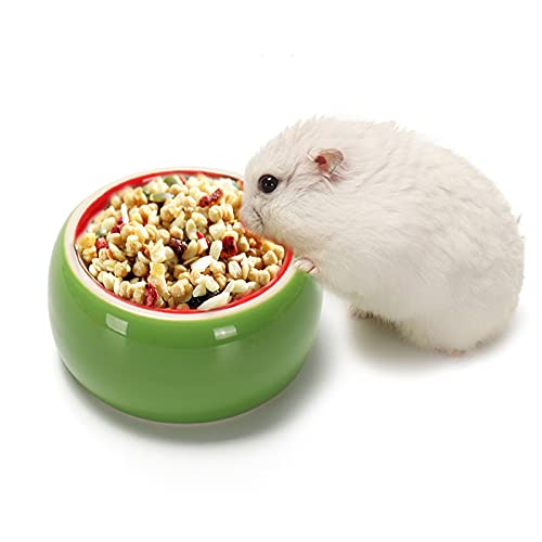 Krizjues 664832158034 Hamster Bowls Dwarf Hamster Food Bowl Prevent Chewing Hamster Feeding Bowl Guinea Pig Hamster Water Rat Bowl Small Animal Food Dish thumb #2