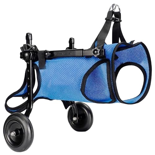 Fauteuil roulant pour chien pattes arrière chariot aide animaux handicapés taille moyenne