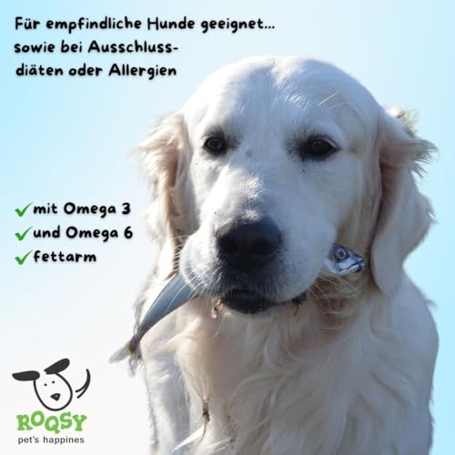 ROQSY Natur-Dörrfisch 100% Forelle – Single-Protein, getreidefrei, ohne Zusätze, schonend getrocknet, leicht und nahrhaft, reich an Omega 3, Made in Germany – 200g