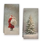 Bnzolyoia Santa Christmas Kitchen Towels Set - Vintage Christmas Kitchen Decor, Farmhouse Navidad Xmas Christmas Tree Hand Towels Dish Towels for Kitchen Bathroom 16x24 Inch, Set of 2