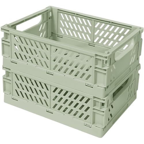 Tobeso-Nuoze Pastel Plastic Storage Baskets 2 Pack Collapsible Crates