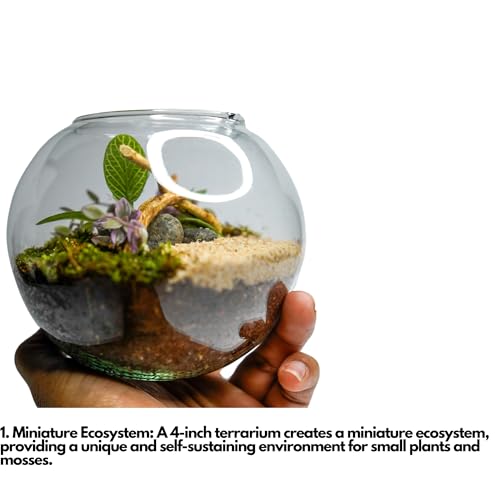 Image of Terrarium Kit with Live Moss & Plants | Glass Container with Acrylic Lid, Sand, Premium Soil Mix | Easy-to-Maintain Mini Indoor Garden for Home, Office & Desk | Eco-Friendly Decor