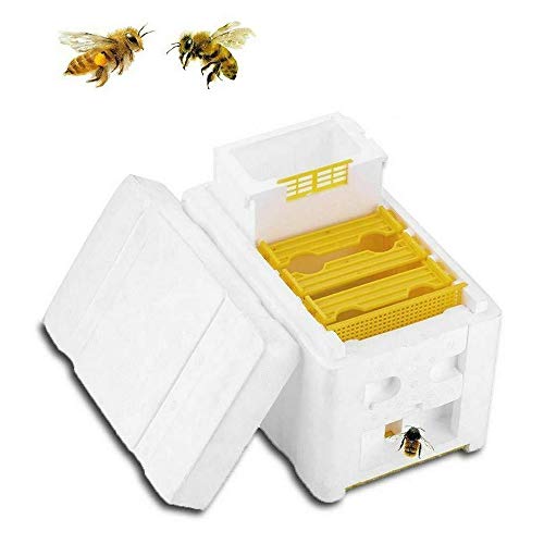 HR harvest beehive, beekeeping tool harvest beehive pollination beekeeping king box for queen breeding tool beekeeping equipment
