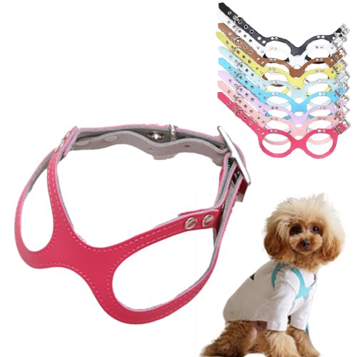 ykamakuradog qhbOzKl^n[lXE[h  L Zbg lC   U Kl^  ^ p ߉\ ĝɗD EȒP SȂ JoLx Iׂ F J[ (zCg, n[lXL(Pi