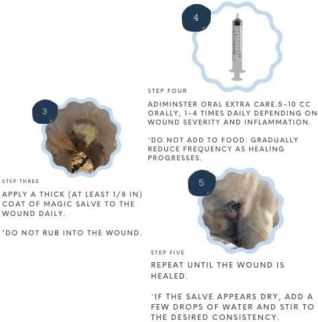 Corazón Therapeutics Equine Wound Care Kit, 3-Part Treatment System with Salve, Spray and Oral Solution