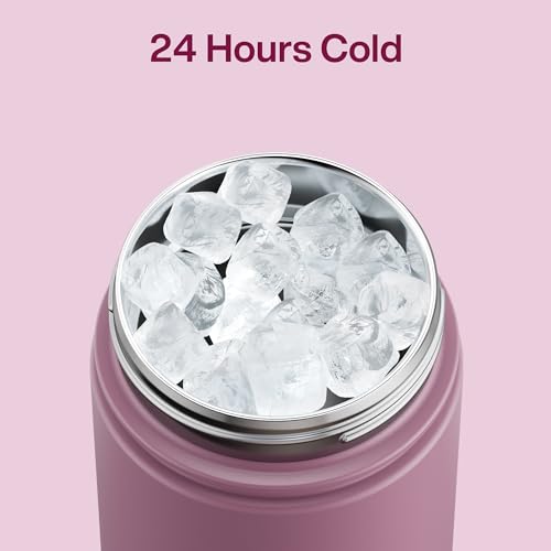 Image of ENCOOL Insulated Water Bottle with Straw Stainless Steel Water Bottle, Leak-Proof, BPA-Free, Double Wall Vacuum Keeps Cold for 24 Hours for Sports, Travel, School (26 oz, Mountbatten Pink)