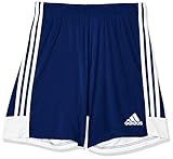 adidas Herren TASTIGO19 SHO Sport Shorts, dark blue/White, M
