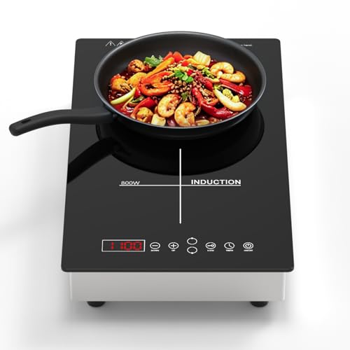 Borrallio Double Induction Cooktop, 1900W Portable 2 Burner Electric Cooktop with 8 Power Levels, 180-Min Timer, Child Lock, Built-in or Countertop Use, Ideal for Dorm, RV, Small Kitchen, 120V