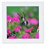Square dimensions (in inches): 25 L x 25 W, image dimensions (in inches): 23 L x 23 W 100% poloyester; image is soft to touch. Made in USA Edges have pinking shear cut Image will not fade with washing. Image not a transfer, part of material