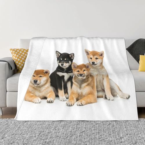 ѕz Č   ʔ  킢  uPbg  ӂӂ GARuPbg Ђ|  _炩G tl 􂦂 Ódh~ lGKp lC v[g 102cmx76cm