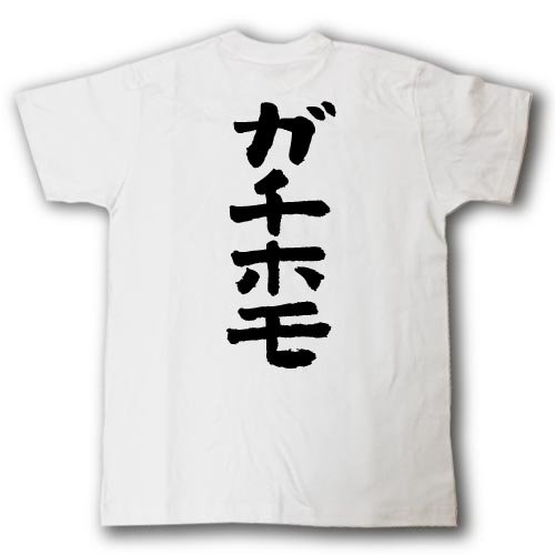 予告ｐｖ ポケモンエメラルド実況 Part0 バトルフロンティア 金シンボル講座 ニコニコ動画