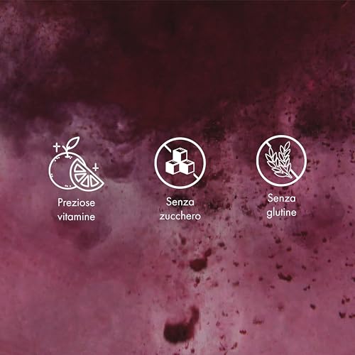 HealthyCo Proteinella, 750 g Glas, Hazelnut