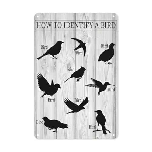 Metal Tin Sign Plaque How to Identify a Bird Metal
