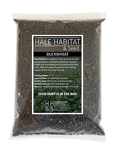 Hale Habitat & Seed Buckwheat Food Plot Seed, 5 lbs