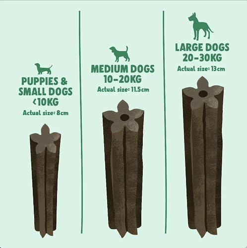 Denzel's Vegan Dog Dental Sticks - for Large Dogs - Peanut Butter & Peppermint (Pack of 28), Blue, 27 g (Pack of 28) - Image 3