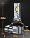SEALIGHT 9005/HB3 Fog Lights Bulb, 30000LM High Power, 6500K Cool White with 14000RPM Cooling Fan, 1:1 Mini Size Replacement for 9005/HB3 Bulbs, Plug - N - Play, Pack of 2