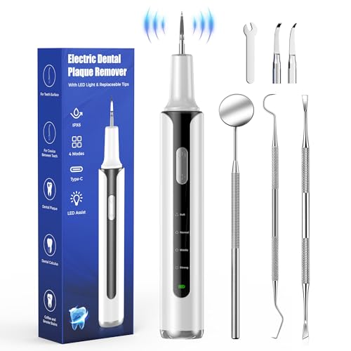 Plaque Remover for Teeth, 4-Mode Electric Tartar Remover with LED Light, Rechargeable Teeth Cleaning Kit, Dental Tools Set with 3 Replaceable Heads