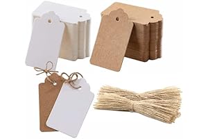 200-Count Kraft Paper Tags for Gift-Wrapping and Craft Projects