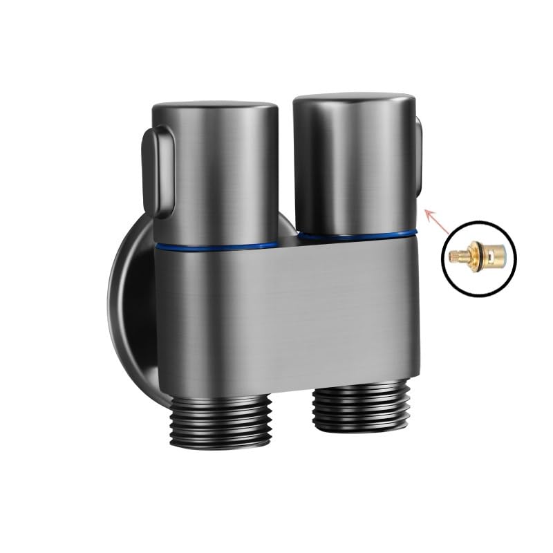 Accessoires de toilette avec buse de pomme de douche et valve d'angle G1/2