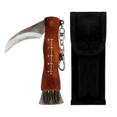 CHALVIOR Pilzmesser mit Bürste Tragbares Schwammerlmesser mit Pilzbürste Schwammerlmesser aus hochwertigen Edelstahl Outdoor Taschenmesser Klappmesser Gute Wahl für Pilzsammler
