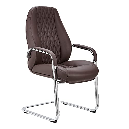 FineBuy Freischwinger Austin Echtleder Besucherstuhl mit Armlehne | Design...